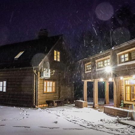 Zemene Villa Bauska Bagian luar foto